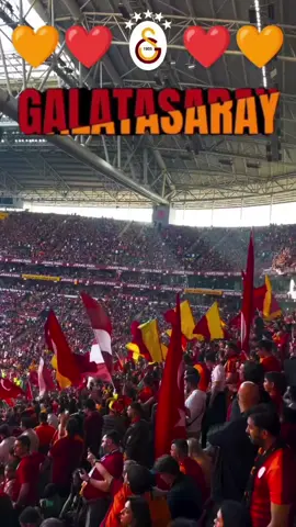 #galatasaray💛❤ 
