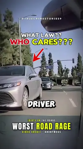 Worst Road Rage Ever on Dashcam #dashcam #dashcamfootage #dashcams #dashcamera #roadrage