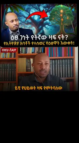 እፀ ገነት የህይወት ዛፍ #fypシ゚ #ዶክተር_ሮዳስ_ታደሰ🙏 