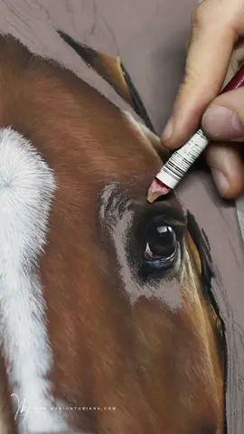 Et après la photo, voici la vidéo de réalisation du beau Ceramic et son nez si particulier 🤩🥰 Vous aussi vous avez des chevaux avec des listes inédites ?  Pastel au format 50x40 cm Matériel @Le Géant des Beaux-Arts 