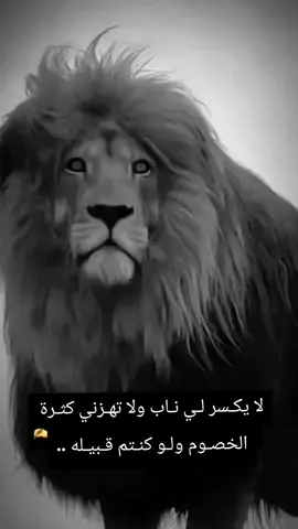 #لا يكـسر لـي نـاب ولا تهـزني كثـرة الخصـوم ولـو كنـتم قـبيـله ..