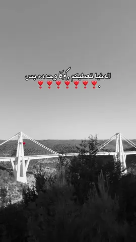 @ديرو تاق🥺🤣❣️❣️❣️❣️❣️❣️❣️❣️❣️. #مالي_خلق_احط_هاشتاقات🧢 #وادي_الكوف_الجبل_الاخضر_ليبيا #لايك_متابعه_اكسبلور #متابعه_ولايك_واكسبلور_فضلا_ليس_امر #اعادة_النشر🔃 