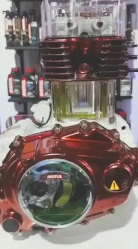 #السعودية #الشعب_الصيني_ماله_حل😂😂 #اعادة_النشر🔃_عملولي_اكسبلور🤗 #بلبل_عراقي_ابيض_الخدين 