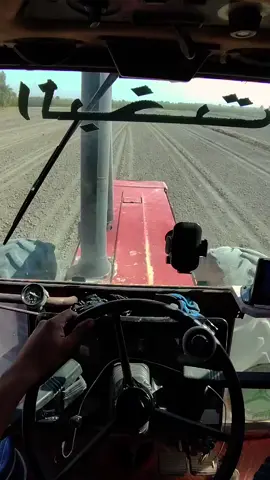 #تحياتي_لجميع_المشاهدين_والمتابعين #الشعب_الصيني_ماله_حل😂😂 #تصوري_احترافي_رايكم_💛💛 