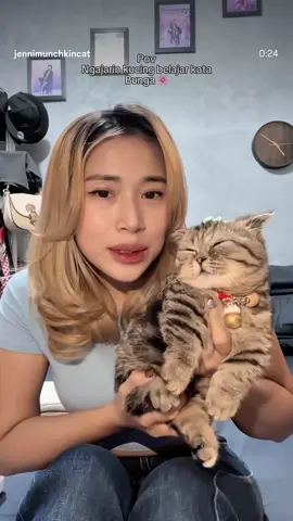 B U N G a = ngamokkk 😾😹😹😹😹😹😹😹😹 #kucing  #kucinglucu  #kucingviral  #kucingimut  #fyppppppppppppppppppppppp  