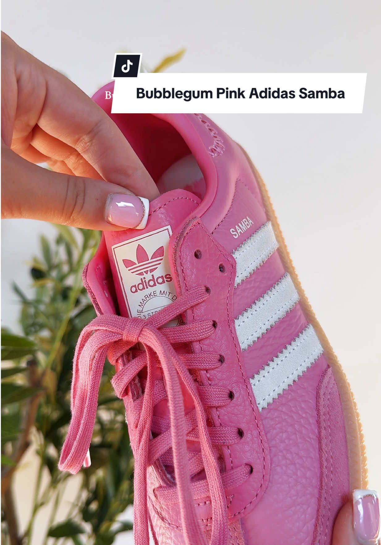 I think you know what this is… 💕💗💖💞 #adidassamba #girlyshoes #pinkshoes #sneakers #womenshoes 