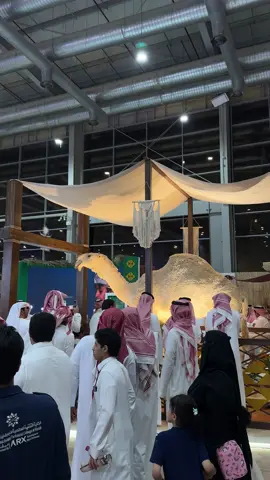 خزامه 💔#خزامه #خزامه_ابن_قريع #معرض_الصقور_والصيد_السعودي_الدولي #معرض_الصقور #اكسبلوررر 