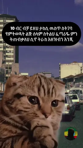 😭ምን ትጠብቃለህ#habeshatiktok #memes #viralvideos 
