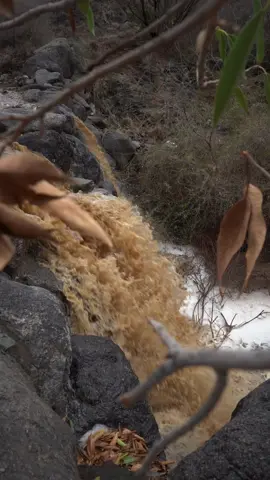 #ان_الله_وملائكته_يصلون_على_النبي 