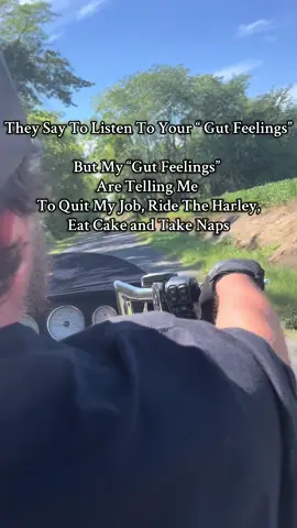 #harleydavidson #bikersoftiktok #humor #seo #therapy 