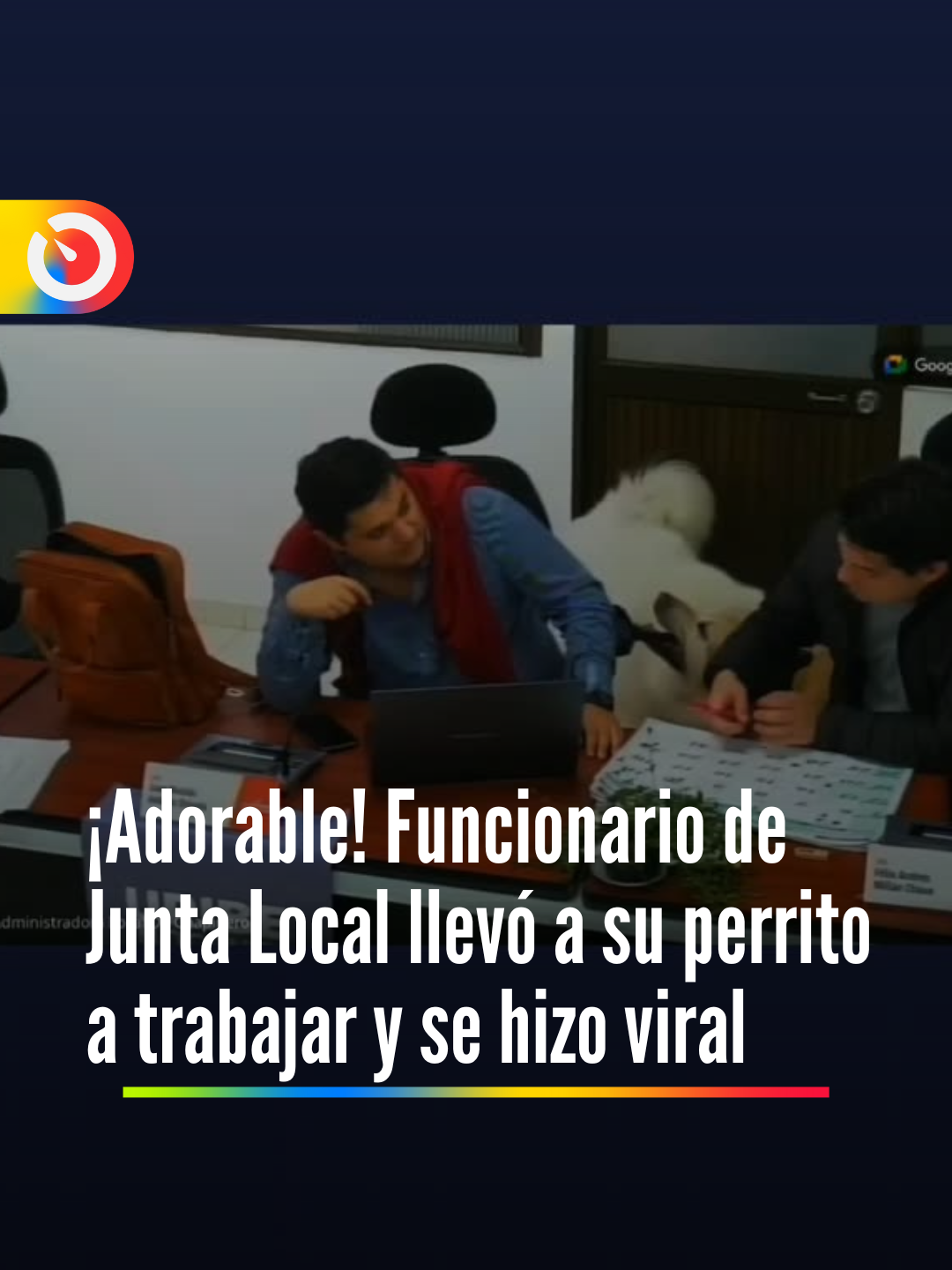 #viral ¡El cabildante más adorable! Una escena  divertida fue captada en medio de una junta local, cuando un funcionario publico llevó a su mascota a la sesión y el perrito sólo quería jugar mientras él trabajaba. El video se hizo viral en redes sociales.  Video tomado de Instagram/JAL_Chapinero* #perro #perrito #momentos #video #momentosdivertidos #paratiiiiiiiiiiiiiiiiiiiiiiiiiiiiiii #tiktok