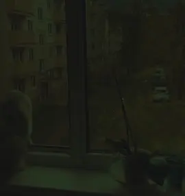 دلی سنگت برام میسوز؟#fy #fyp 