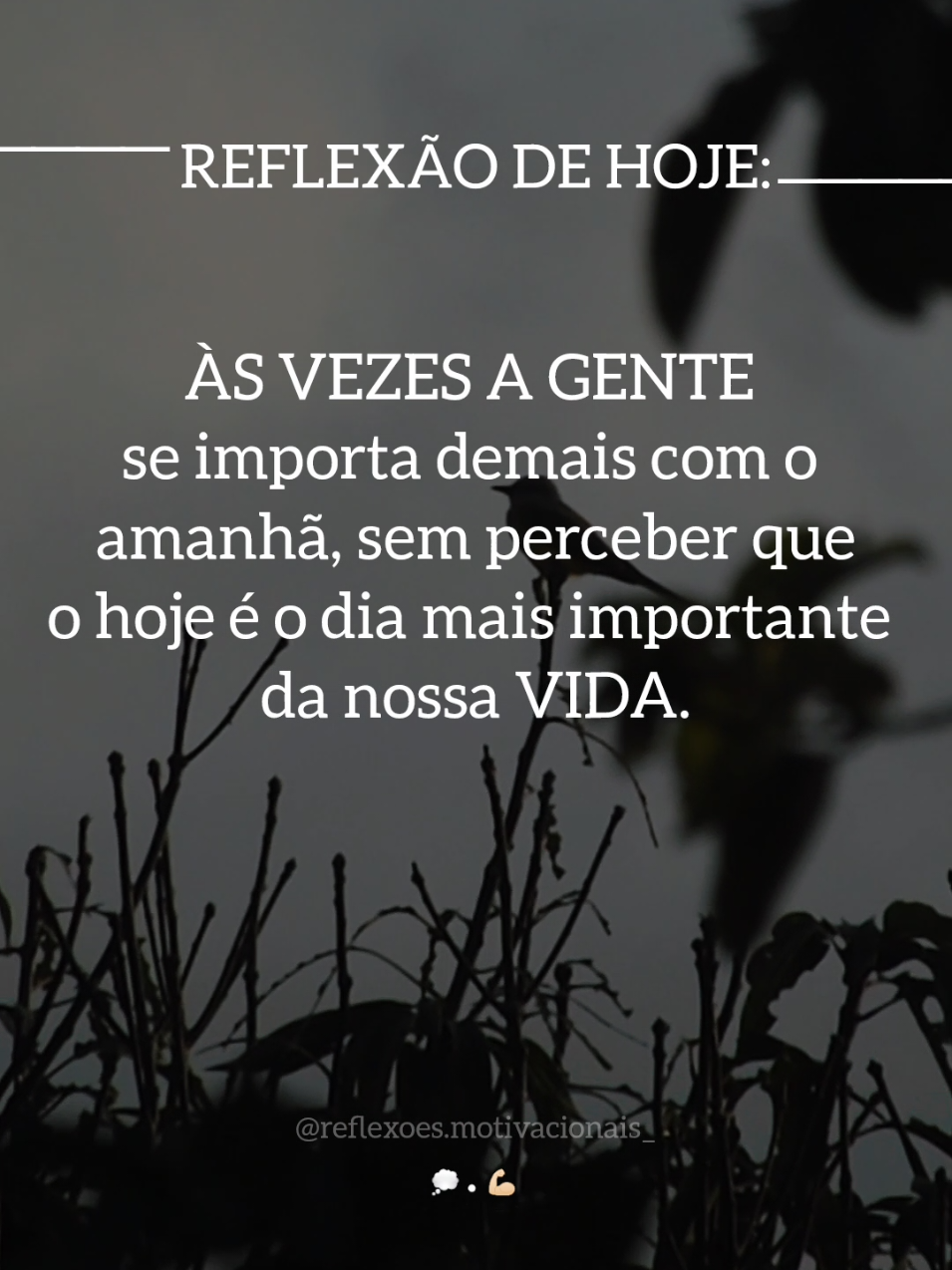 REFLEXÃO DE HOJE... 💭 #creatorsearchinsights #reflexão #reflexaododia #motivacao #frasesmotivadoras 