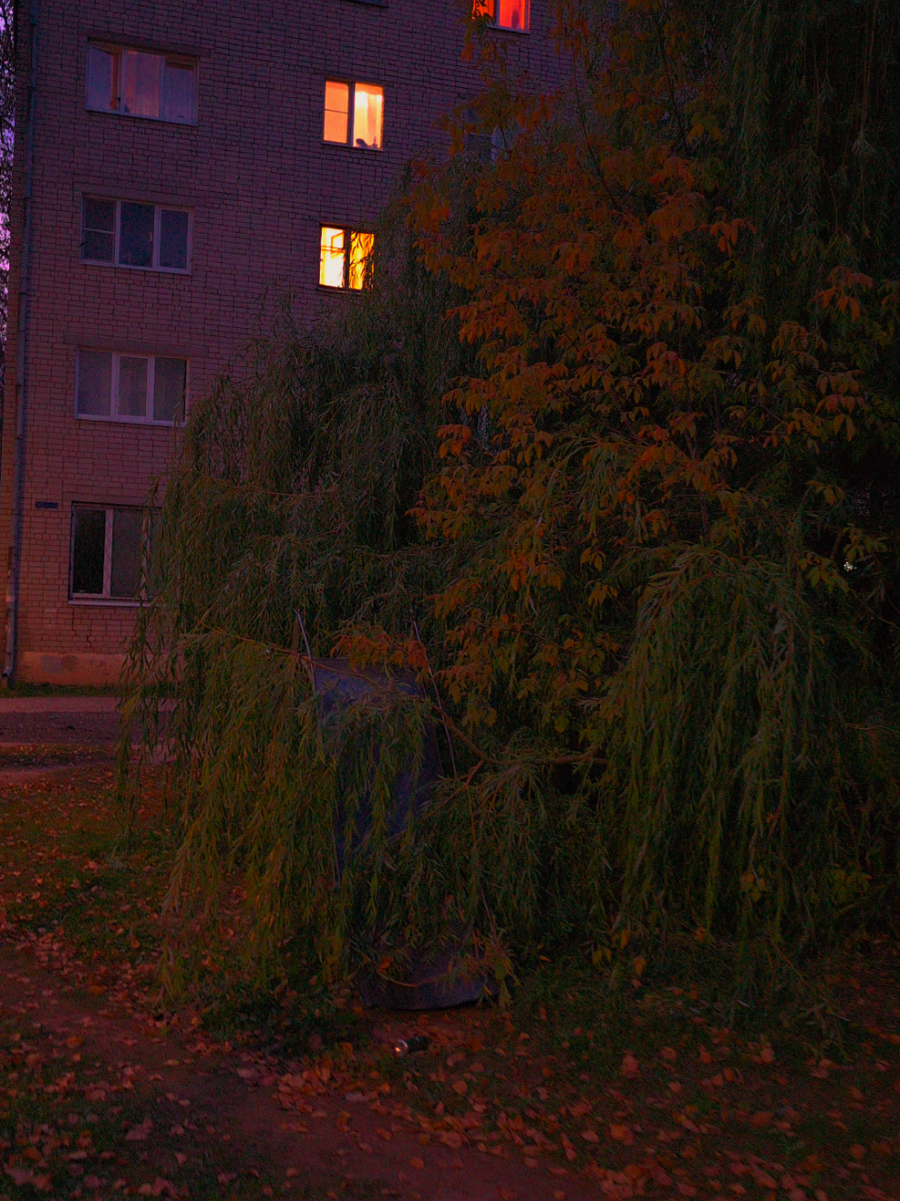 #c418 #русскийвайб #russianvibe #закат #панельки 