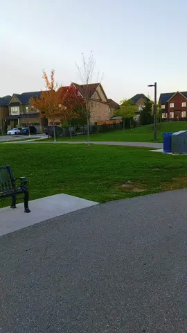 💐✨🧸🌹🌺🍂🍁#creatorsearchinsights #foryoupage❤️❤️ #fypシ #fypageシ #canada_life🇨🇦 