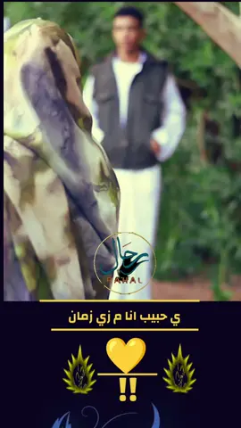 #رحال_على_كف_القدر🤍🇸🇩🤍 #فهيمه_عبدالله #اغاني_سودانية #سودانيز_تيك_توك_مشاهير_السودان #سودانيز_تيك_توك_مشاهير_السودان🇸🇩 