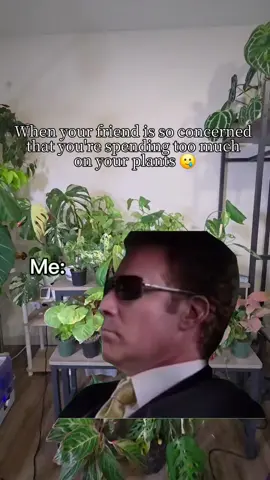 Being a plant parent is honestly like being a fur mom or even a human mom — it comes with responsibility. 🌿  You can’t just collect plants and expect them to thrive on their own. They deserve care, love, and the right support to grow beautifully.🪴💕 That’s why I’ve been loving this Zella Wooden Extendable Plant Support from Treleaf.  It’s made from natural cedar wood, which is rot-resistant and perfect for both indoor and outdoor plants. 🪴  It grows with your plants and can even extend up to 5 feet tall, making it ideal for climbing beauties like pothos, philodendrons, and monsteras. Because our plants deserve the best support — literally. 💚 #PlantParent #PlantCare #PlantSupport #Treleaf #PlantTok      @Treleaf 