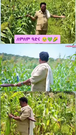 #eritreantiktok #eritreantiktok🇪🇷🇪🇷habesha,#eri,#fyp #Eritrea 