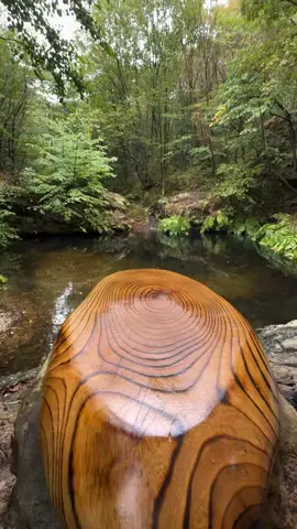 makasih banyak ya ayah mamah🥺