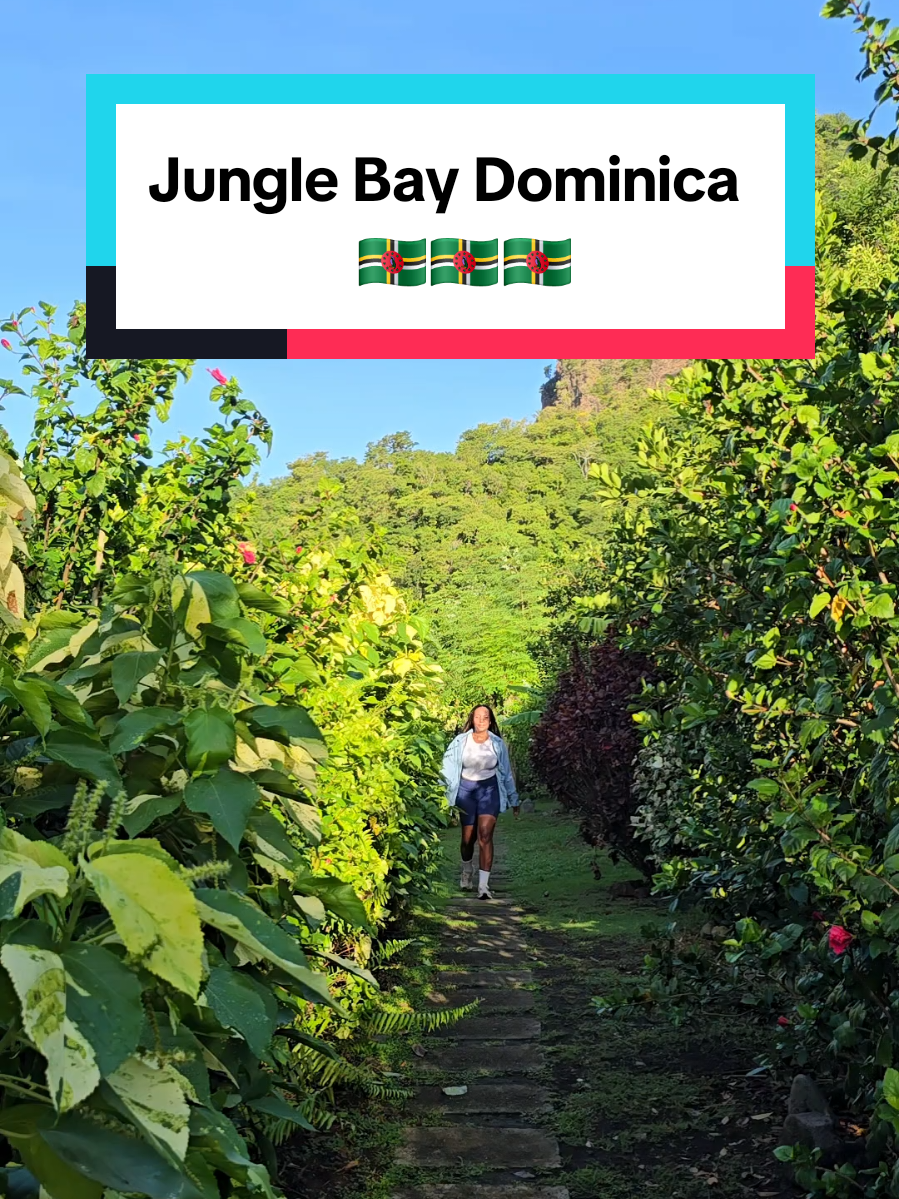Come experience Jungle Bay Dominica with me!  I recently spent five days at Jungle Bay Dominica and I got to experience the Signature Inclusive Adventure Wellness Package, where the best of Dominica awaits you. This is my eighth time visiting Dominica and what I love about this package is that you get to really immerse yourself in all that the property has to offer while going off the beaten path in Dominica.  Included in the cost is:  Transfer Service: Enjoy transfers to/from the Airport/Ferry Terminal upon arrival/departure. Luxurious Eco Villas: Experience accommodation in our Private Luxurious Eco Villas. Organic Meals: Indulge in all-organic meals, including breakfast, lunch, and dinner, with fresh tropical juices. Island Exploration: Explore the island with our activity schedule, featuring activities like hiking to hidden waterfalls and snorkeling at the famous Champagne Reef, kayak the ocean or hike the UNESCO World Heritage Site Boiling Lake Trail  On-site Activities: Edible garden tours, herbal tea experiences, cooking classes and more await you. Daily Spa Treatment: Rejuvenate with a daily half-hour massages or other body therapies during your stay. Yoga Sessions: Engage in evening yoga sessions to enhance your wellbeing journey. This package is $849USD per night for two persons! Honestly, the daily massage was truly the most luxurious part of the package for me  Jungle Bay offers the best of both worlds! Go check out the signature package and tell them Cindy sent you! Thanks for having me @Jungle Bay Dominica   #junglebaydominica #ThingsToDoInDominica #WhereToStayInDominica 