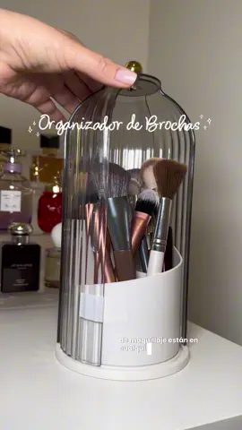 Organizando mis brochas #makeupbrushesorganizer #organizer #brushorganizer #makeuptools 