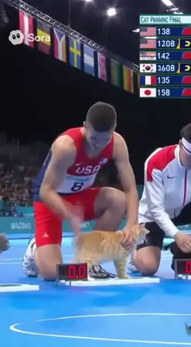 고양이 엉덩이 때리기 대회 #ai #sora2 