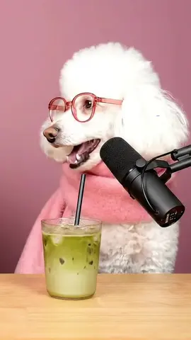 “No teeth brushing was included in that process” 😭 #dogfunny #dogpodcast #doghumor #dogsoftiktok #barkafterdark 