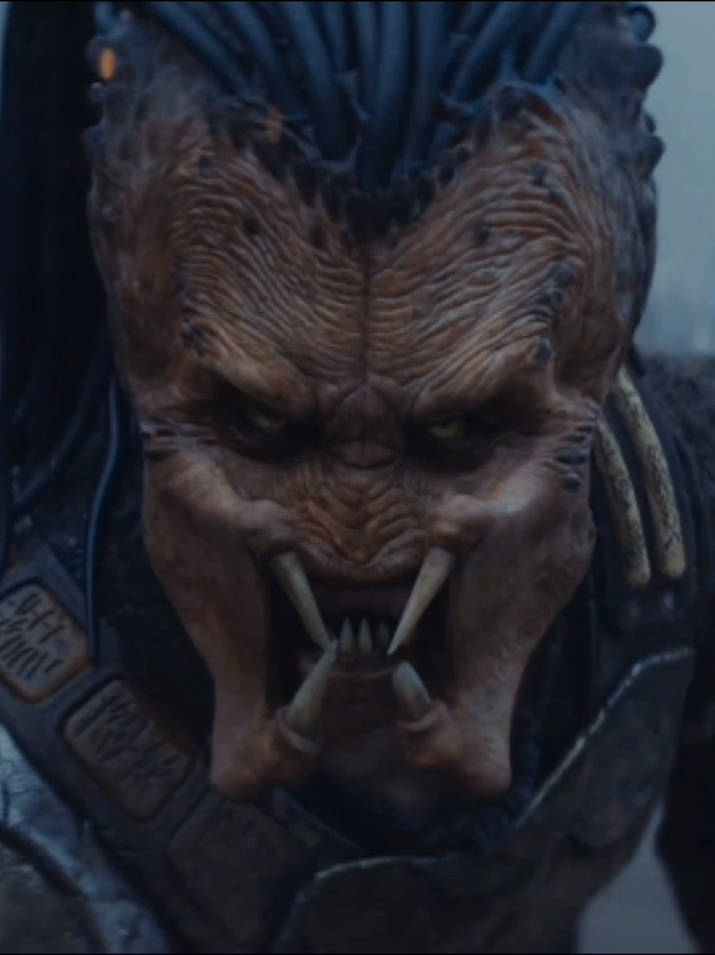 I can't wait for Predator Badlands in November! (All clips come from the Trailer) #predator #yautja #fyp #foryourpage #fypviral 