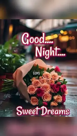 Good night sweet dreams #💫💤🌉🌜🌛🌟⭐️ #fypシ #❤️❤️❤️❤️ 