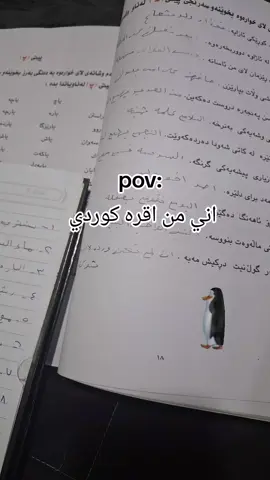 #العراق #اكسبلور #capcut تعديل  بالغلط كتبت كوردي ردت اكتب كردي+لايك وفولو بدربكم