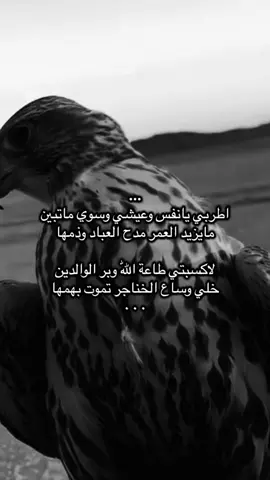 #قصايد_شعر #fyp 