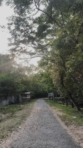 @A r  i✨🦖 🩷🩵