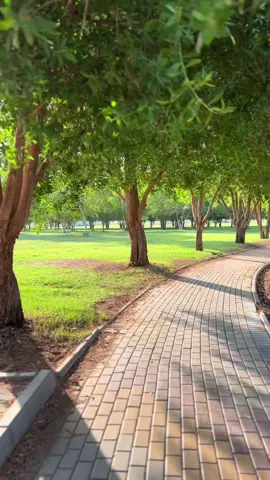 #تصويري #ترند #مطار_فهد_بن_سلطان #تبوك #مطار_تبوك 