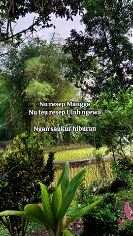 kitu we ti pusat mah nya.  #mihteumilurungsing #laguindia #fyp #storysunda #lagusunda 