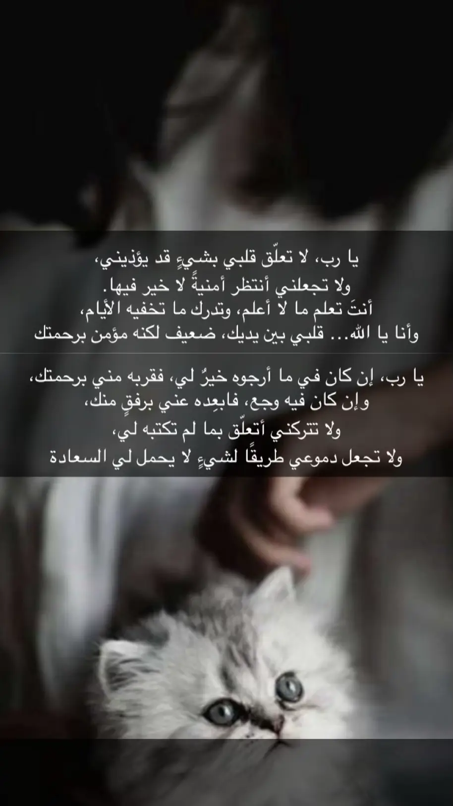 #tiktok #أكسبلور 