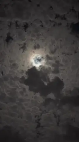 #اكسبلور 