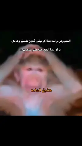 #ميمز #ضحك #funnyvideos #fyp #fypage 