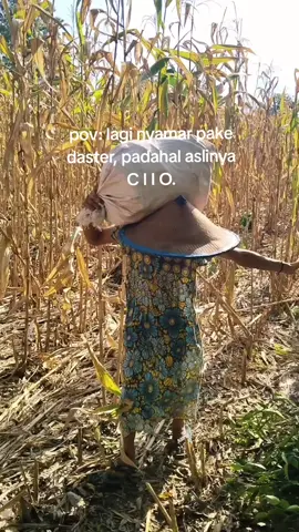 Ci i o gua mah😭😂🤣