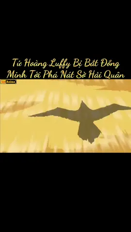 Phần V Tứ Hoàng Luffy Bị Bắt Đồng Minh Tới Phá Nát Sở Hải Quân #xuhuong #onepiece 