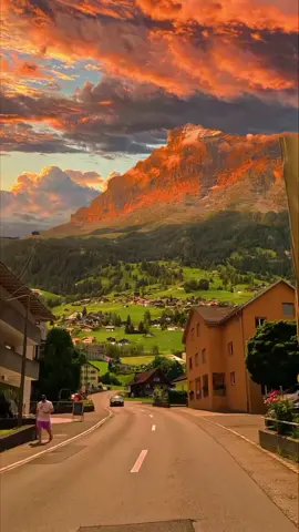 🍁🍁🍁🍁🍁🍁🍁