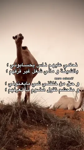 و حق من خلقنـي شي مايعـنوني 👋🏻🔥؛#غناوي_علم_فااااهق🔥 #شعر_ليبي #طبرق #fyyyyyyyyyyyyyyyy #درنه_بنغازي_البيضاء_طبرق_ليبيا 