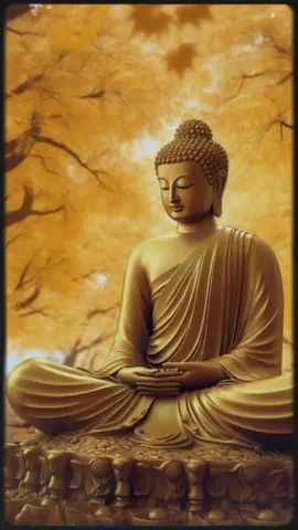 #CapCut đi qua một trận thuong đau,chúng ta nhìn thấy,…🍂