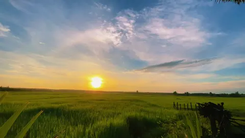 🥰🌾❣️#ស្រុកស្រែ🖼️🌾🌞🌔❤️ 