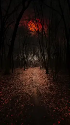 #music #90s #boskedenoche