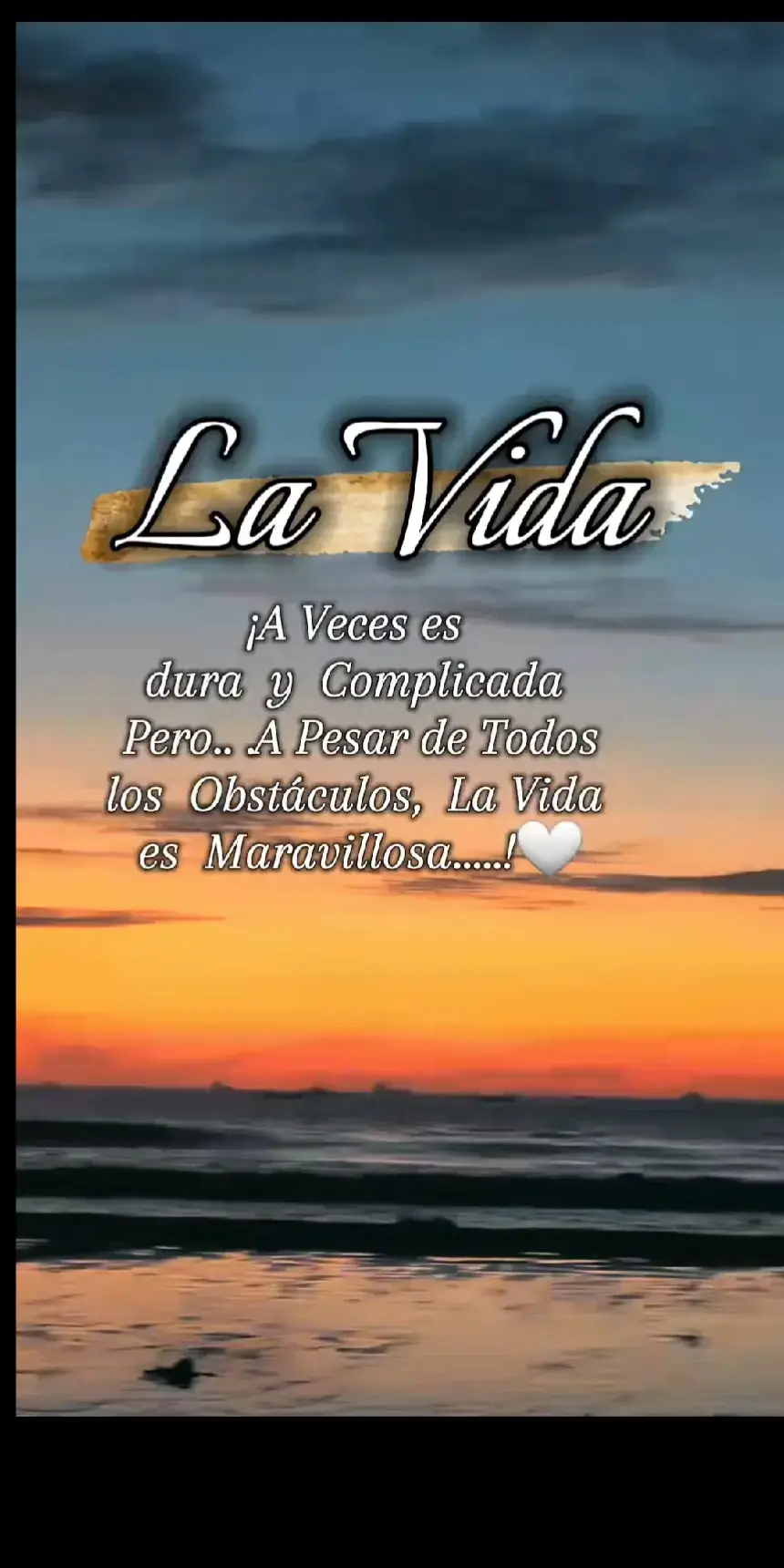 Frases bonitas 🤗🎶🎉🎶