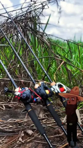 Perbedaan real BC sama DC #tukangmancing  #casting  #masukberanda  #pyf 