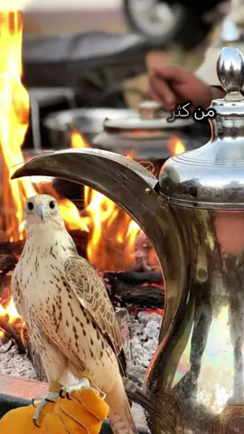 #أكسبلور_شعر_حكم_خواطر 