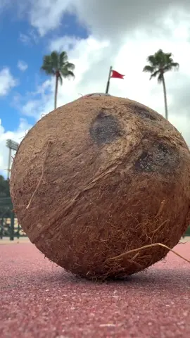 JUST ANNOUNCED 🍌@Banana Ball is coming to #WaltDisneyWorld in 2026 with the all-new team Loco Beach Coconuts! 🥥⚾️ #Disney #DisneyParks #ESPN #Baseball 