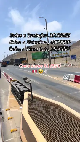 #papillon  #comoduelesperu😞💔🇵🇪🙏🙏 #peru🇵🇪 