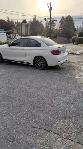 Which one are you going to take?  American or German power....#foryoupage #professionalsaretryingtowork #bmw #dodge